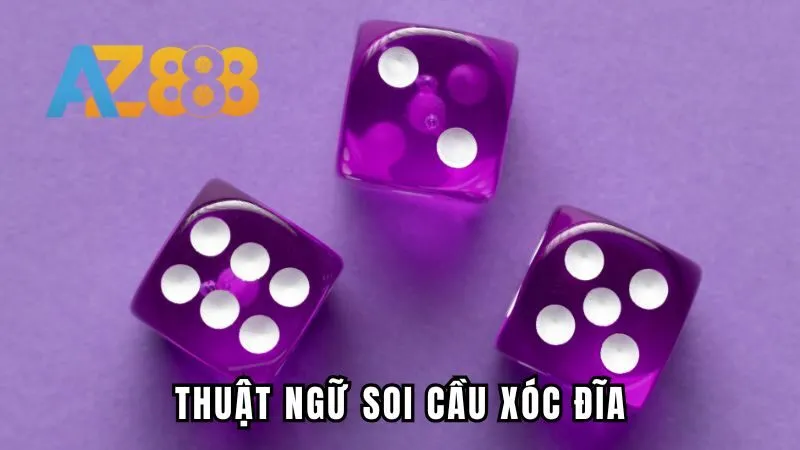 Một số thuật ngữ soi cầu xóc đĩa thường gặp 